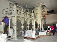 威格利家電清洗機強勁動力品質彰顯